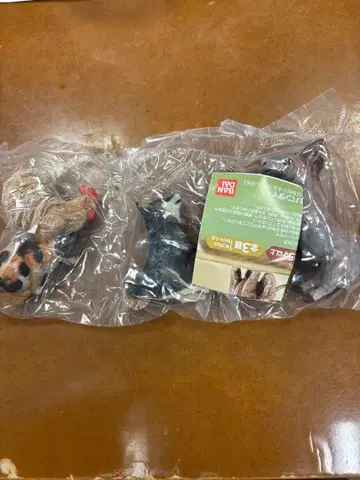 브레멘 음악대 하시모토 미오