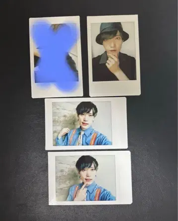 팬더드래곤 파라곤 타이거 폴라로이드