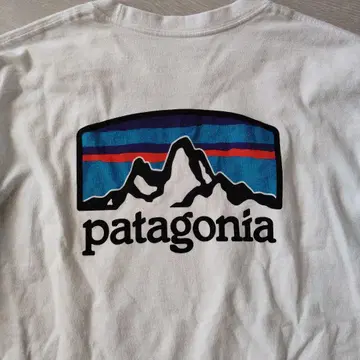 patagonia M 긴팔 T셔츠