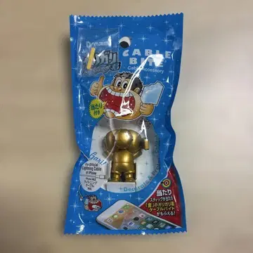 금의 가리가 군