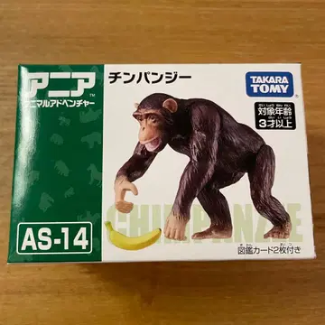 아니아 AS-14 침팬지 바나나 포함