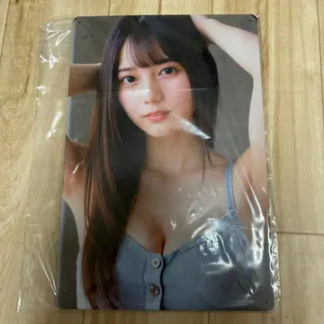 아이돌 양철 간판 포스터 브로마이드 연예인 굿즈 인테리어