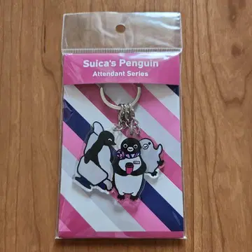 Suica 펭귄 어텐던트 시리즈 신칸센 한정판 아크릴 키링