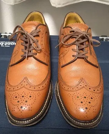 REGAL 2235 브라운 윙팁 신발