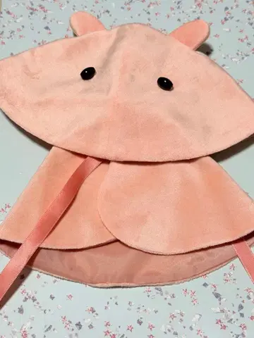 보크스제 멘다코 케이프