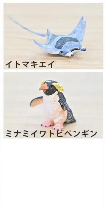 하시모토 미오 조각 카이유칸 가챠가챠 세트