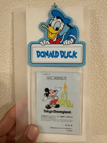도쿄 디즈니랜드 프론티어 우드 크라프트 여권 케이스 도날드