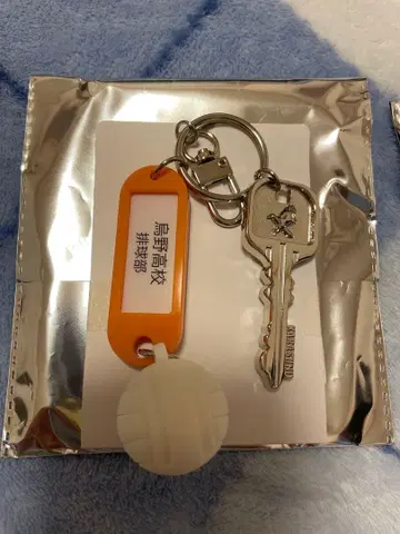 하이큐!! 트레이딩 고교명 포함 열쇠 참 키링 카라스노 고교