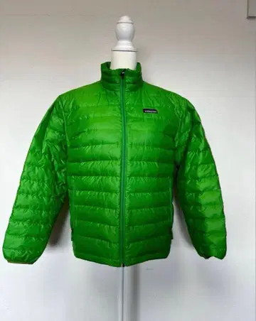 patagonia 다운 자켓 그린