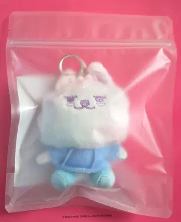 txt 수빈 용몽 최연몽 레인보우 뿔바투 키링