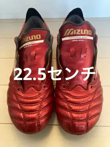 모렐리아 네오 4