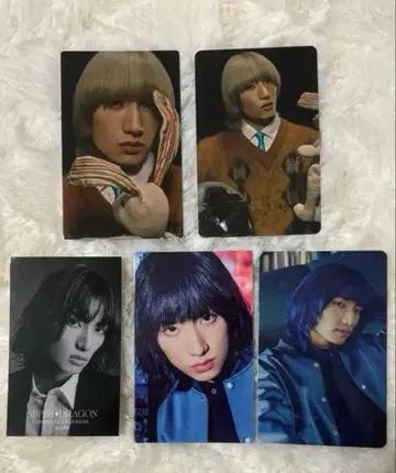 시바사키 라쿠 트레이딩 카드