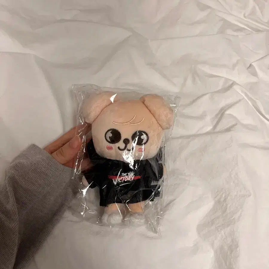 Stray Kids Skiz doll Skizuu Perfim new product