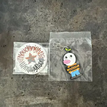 노벨 브라이트 아레나 투어 기념 캔뱃지 점포 한정판 러버 키링