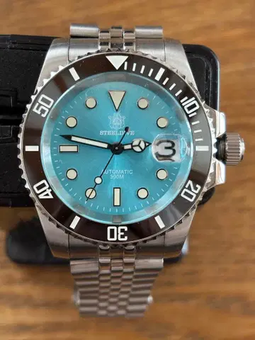 시착만 한 Steeldive 다이버