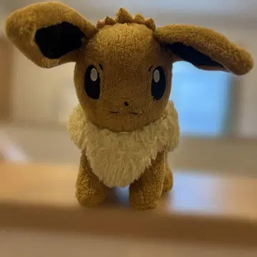 포켓몬 센터 이브이 봉제 인형