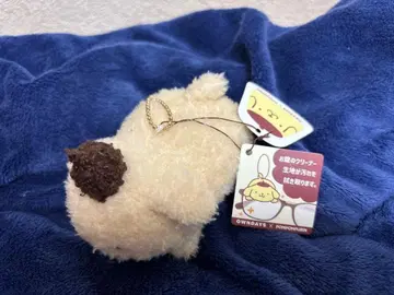 OWNDAYS 폼폼푸딩 온데이즈 네소베리 클리너