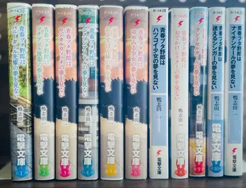 청춘 돼지 바보 시리즈 소설 전 11권 세트