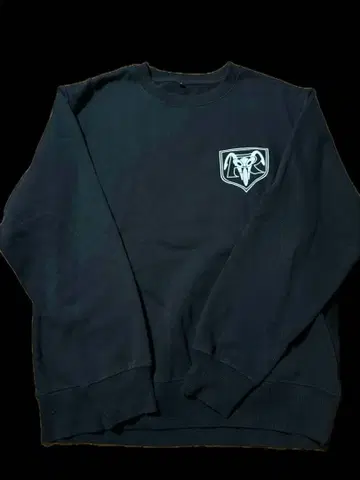 레어! BANDAI(반다이) 가면라이더 1호 디자인 맨투맨