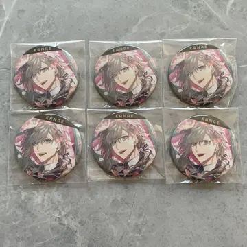 카나에 아니카페 캔뱃지 6개 세트