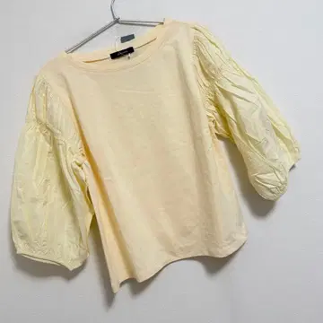 지나시스 w/ 볼륨 s 절개 TEE