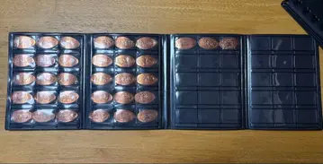 도쿄 디즈니 리조트 메달리온 컬렉션 북