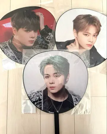 츠루보 시온 부채