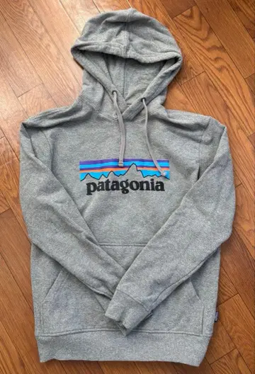 patagonia 그레이 후디 후드티