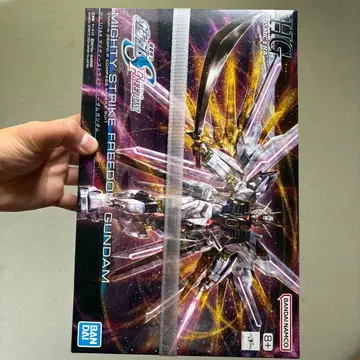 HG 나이트 스트라이크 프리덤 건담