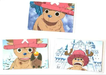 ONE PIECE 원피스 라미네이티드 카드 초파