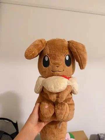 포켓몬 이브이 봉제 인형