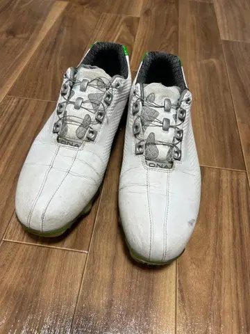 FootJoy DNA Boa 골프화