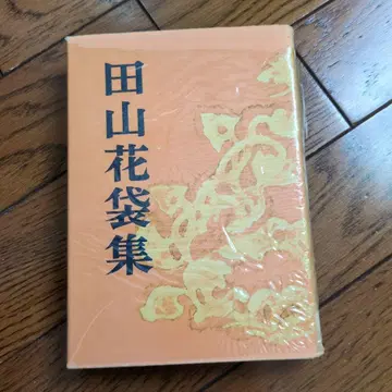 다야마 가타이집