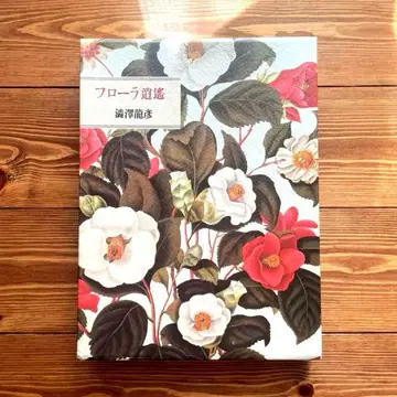 플로라 소요 시부사와 타츠히코