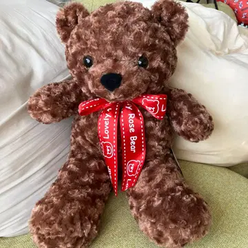 브라운의 Rose Bear 봉제 인형