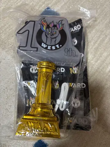 10th WEST. AWARD 응원봉