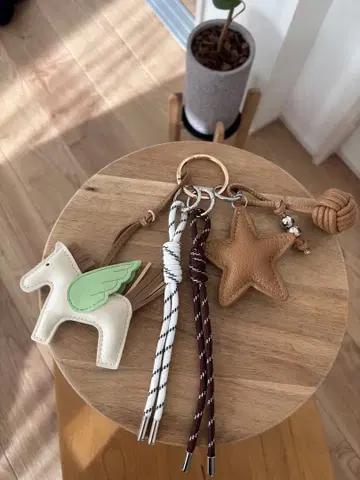 백참 키링 키참 페가수스 코드