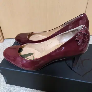 카르네 STUDY*보르도 에나멜 펌프스