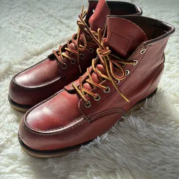레드윙 redwing 아이리쉬 세터 8875 25cm
