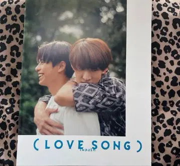 영화 LOVE SONG 러브송 팜플렛 무카이 코지