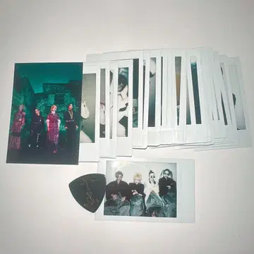 흠집 라이무 폴라로이드