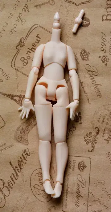 배송비 포함*피코니모 S 관절 강화판 바디 화이트 스킨/화이트