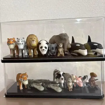 샤크렐 플래닛 세트 17개 케이스 포함