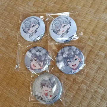컬러풀 피치 캔 배지 히로상 5개 세트
