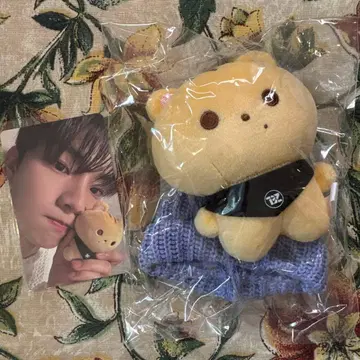 theboyz md 굿즈 큐 봉제 인형