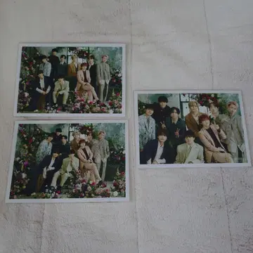 초특급 생사진 RiB 집합