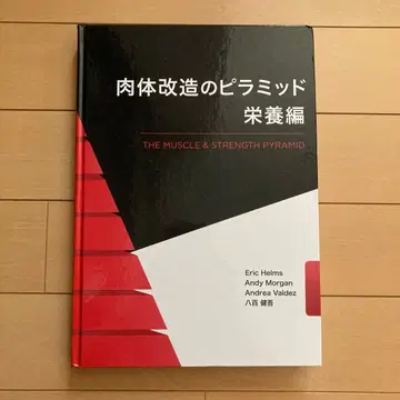 신체 개조의 피라미드 영양편