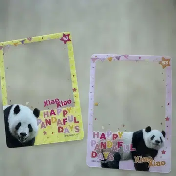 해피 팬더풀 클리어 카드 샤오샤오
