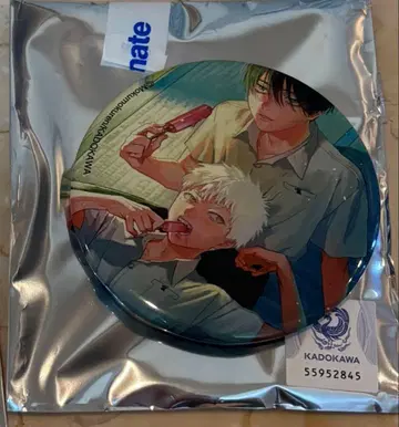 빛이 죽은 여름 트레이딩 캔뱃지 히카루 & 요시키 3 츠지나카 요시키