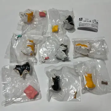 시바구라시2 8개 컴프 세트